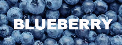 BLUEBERRY