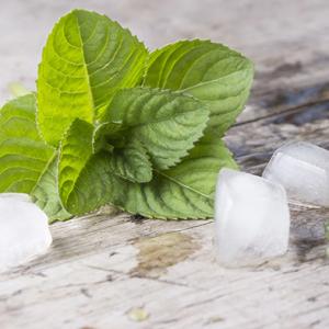 The Invigorating Power of Menthol Flavor